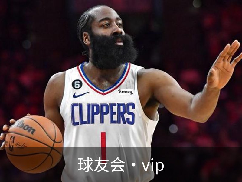 球友会·vip简介